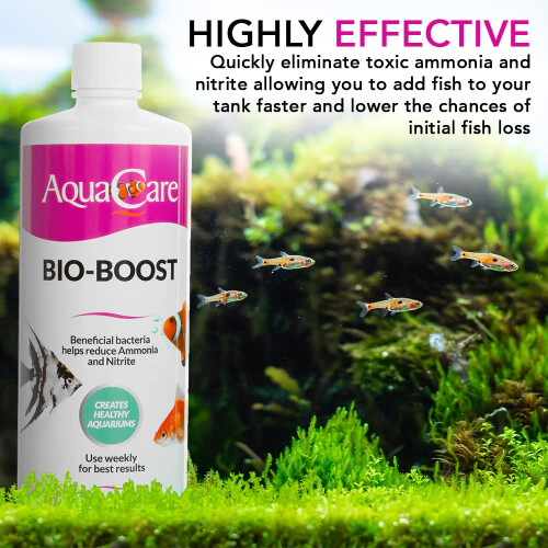 Bio Boost Filter Bacteria Booster For Freshwater Aquariums (240ml) 2