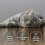 Protexin Veterinary Cystophan Capsules, Pack of 30 Capsules 5