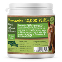 Glucosamine 12,000 PLUS+ | Ready To Use Horse & Pony Supplement | Support For Equine Joints & Mobility (500g Tub)