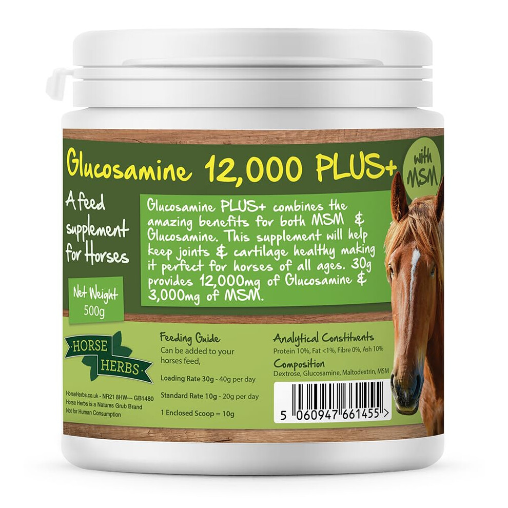 Horse Herbs Glucosamine 12,000 Plus+ | Ready To Use Horse & Pony Supplement | Support For Equine Joints & Mobility (500G Tub)