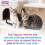 Calming Pheromone Diffuser Starter Kit, for a Calm Single or Multi-Cat Home, Reduces Stress, Spraying, Scratching & Other Problematic Behaviours, 1 7