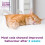 Calming Pheromone Diffuser Starter Kit, for a Calm Single or Multi-Cat Home, Reduces Stress, Spraying, Scratching & Other Problematic Behaviours, 1 6