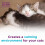 Calming Pheromone Diffuser Starter Kit, for a Calm Single or Multi-Cat Home, Reduces Stress, Spraying, Scratching & Other Problematic Behaviours, 1 9