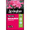 Levington PEAT FREE Ericaceous Compost, 50 litre compost for acid-loving plants 1