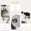 PawHut PawHut 4PCs Wall Mounted Cat Furniture Set with Steps Scratching Post, Grey 4