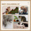 PawHut PawHut 100cm Cat Tree Tower Kitten Climbing Tower W/ Scratching Post Condo 5