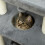 PawHut PawHut Cat Tree Kitten Tower with Scratching Posts, Plush Bed & Perch - Light Grey (D30-481V00LG) 6