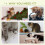 PawHut PawHut Small Cat Tree with Scratching Posts 2 Beds Toy Ball Indoor, Multi 6