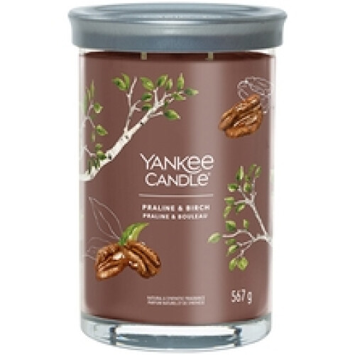 Yankee Candle Yankee Candle - Praline & Birch Kerze im Glas (567g)