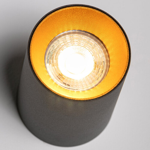CGC Black Round Surface Down Light Spot light With Gold Reflector 2