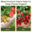 Outsunny Outsunny 2x50m Weed Barrier Fabric Durable Convenient Design Weed Block Mat 6
