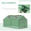 Outsunny Outsunny Greenhouse Plants Foil Tomato Vegetable House W/ 2 Windows Green 5