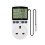 Digital Temperature Socket Thermostat For house Glass Container 1