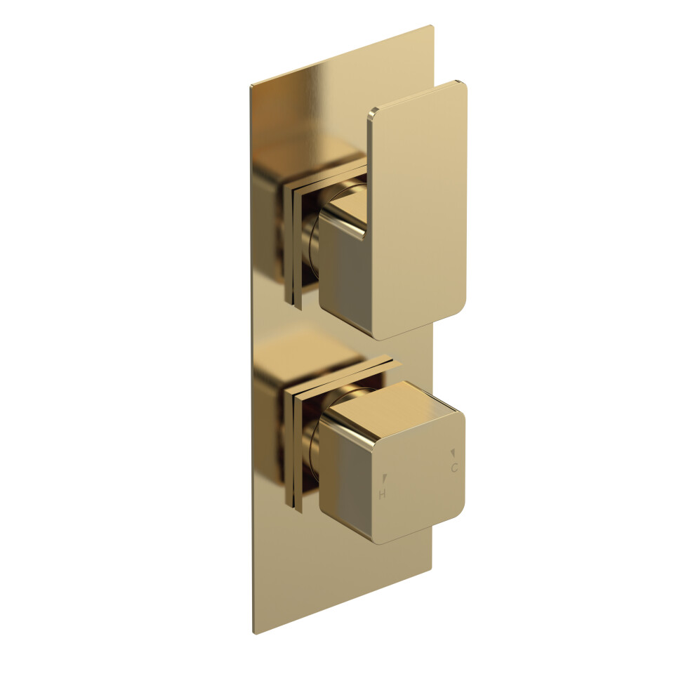 Empire Contemporary Bathroom Concealed Square Twin Thermostatic Shower Valve, 215mm, Brushed Brass - Balterley