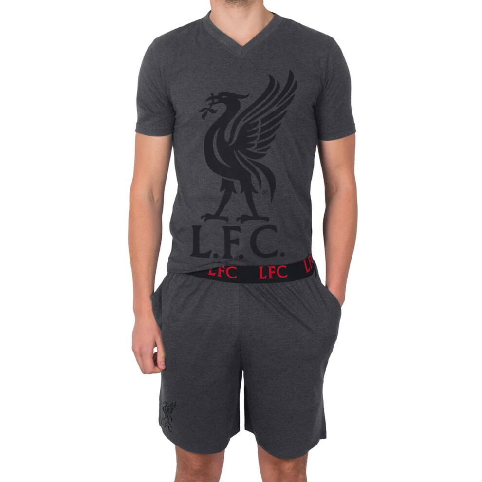 (Grey, Medium) Liverpool FC Official Football Gift Mens Short Pyjamas Loungewear