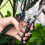 Vivo Strong Garden Secateurs Professional Tree Pruner SK-5 Titanium Pruning Scissors 2
