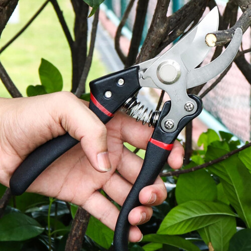Vivo Strong Garden Secateurs Professional Tree Pruner SK-5 Titanium Pruning Scissors 1