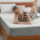 (Small Double(120*190*20cm)) Gude Night Spring and Memory Form Hybrid Mattress 19