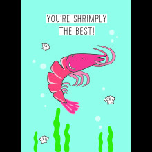 Scribbler You're Shrimply The Best Shrimply Awesome! Funny Greeting Card