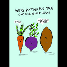 Scribbler Good Luck In Your Exams We Are Rooting For You Funny Greeting Card