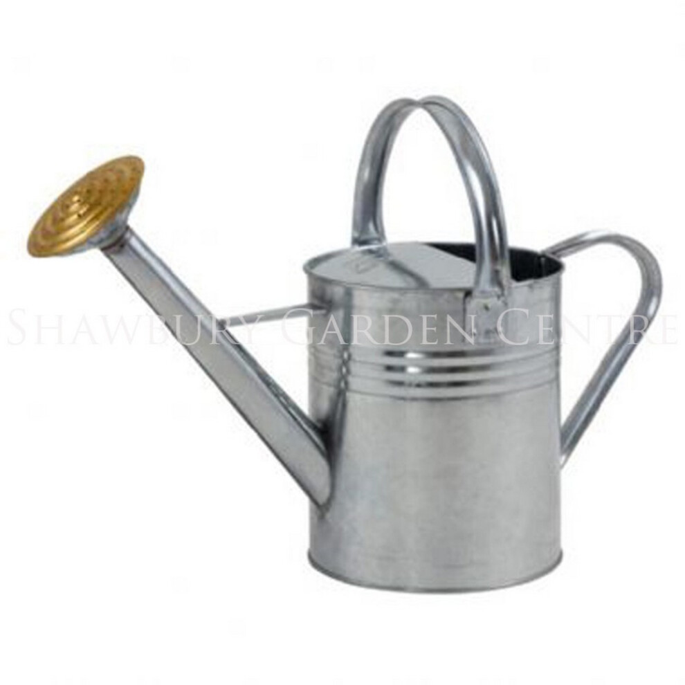 Ambassador (9L, ) Galvanised Watering Can Silver