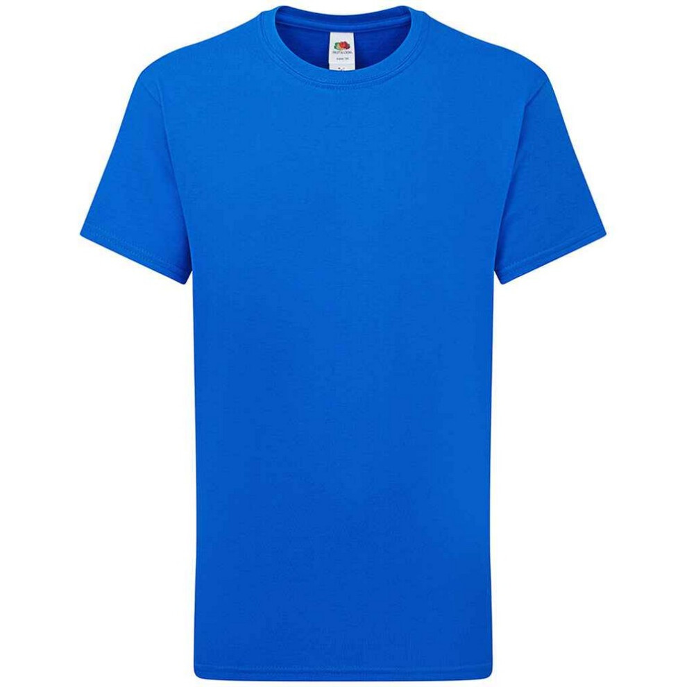 (14-15 Years, Royal Blue) Fruit of the Loom Childrens/Kids Iconic 195 Premium T-Shirt