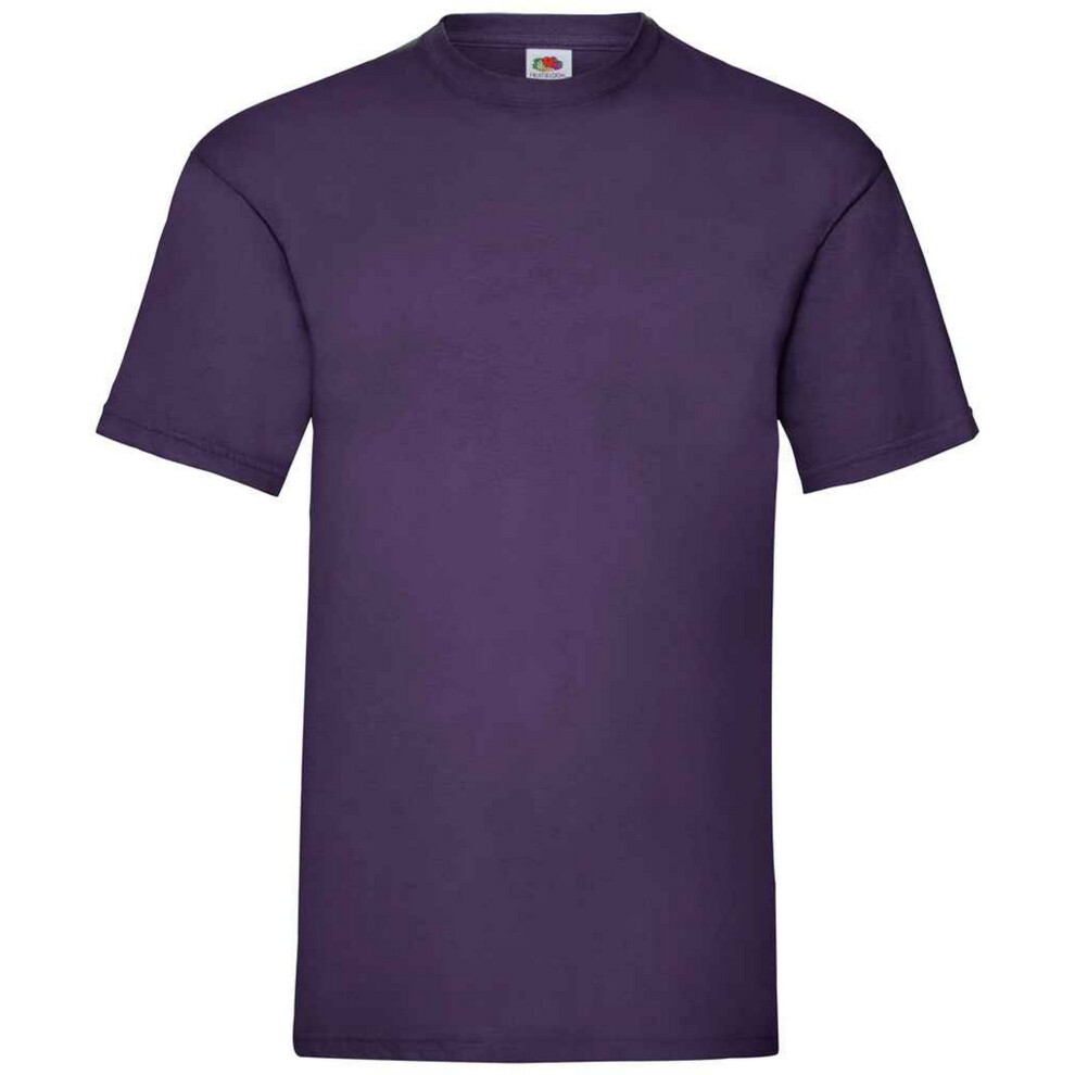 (S, Purple) Fruit Of The Loom Mens Valueweight T-Shirt