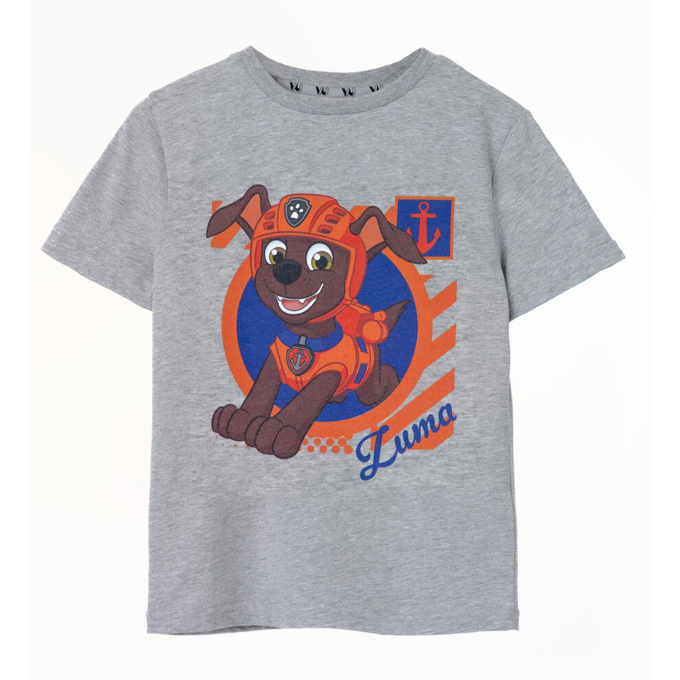 (5-6 Years, Grey Marl) Paw Patrol Boys Zuma Short-Sleeved T-Shirt