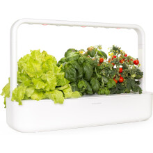 Click & Grow Indoor Herb Garden Kit with Grow Light | Easier than Hydroponics Growing System | Smart Garden for Home Kitchen Windowsill