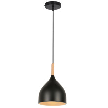 Modern Ceiling Light Retro Pendant Light Black Metal Pendant Light , E27 Indoor Pendant Light for Bedroom Living Room Hallway