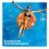 (Orange) SPLASH! Inflatable Swimming Pool Ring, 90cm 3