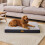 Silentnight (Large) Silentnight Firm Crate Mattress Pet Bed 1
