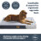Silentnight (Large) Silentnight Firm Crate Mattress Pet Bed 3