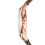 Armani ARMANI WOMEN'S WATCH AR1813 BROWN STRAP BEIGE DIAL ROSE GOLD CASE 5