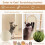 Casart Wood Cat Tree Multi-level Cat Tower Activity Center Sisal ScratchBoard 8
