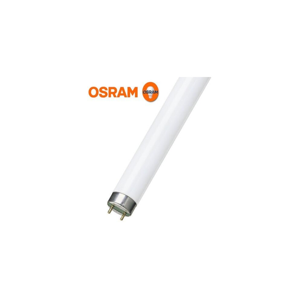Osram 18w 865 Lumilux T8, Fluorescent Tube sockets G13 Daylight White