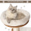 Casart Wooden 5-tier Cat Tree Cat Play Tower Activity Center Scratching Posts 5