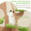 Costway 128 cm Pine Shape Cat Tree Indoor Cute Multi-level Cat Tower 6