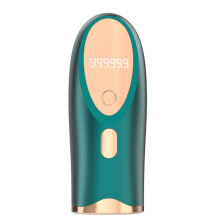 Instrumento de Remoção de Pelos para Casa Remoção Permanente de Pelos Sem Dor Salão de Beleza Depilador de Luz Azul Vermelha Verde