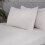 (King, White) Brushed Cotton Bed Linen Luxury Fitted Bedsheet Non Iron 3