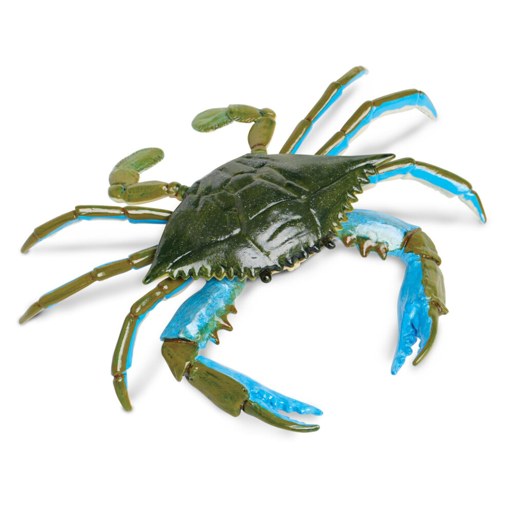 Safari Ltd. Incredible Creatures Blue Crab - Realistic Hand Painted Toy Figurine Model - Quality Construction from Phthalate, Lead and BPA Free Materi