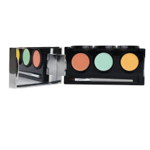 Dermaflage Color Correcting Palette Color Corrector Concealer -peitevoide tummille silm   naluksille, punoitukselle, mustelmille ja tummille l   iski