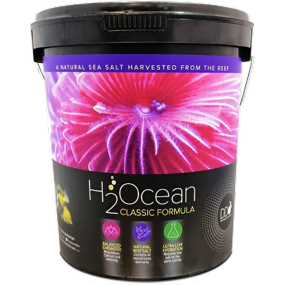 (6.6kg) D-D H2OCEAN MARINE SALT PRO+ FISH CORAL REEF 23KG, 6.6KG BUCKET