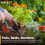 25L Potting-On Compost with Added John Innes No. 2 2