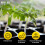 25L Potting-On Compost with Added John Innes No. 2 3