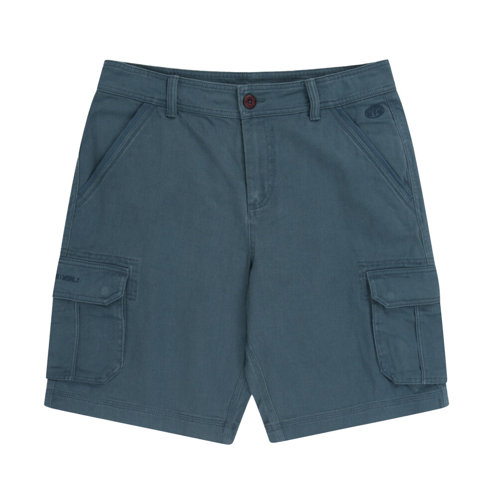 (30R, Petrol) Animal Mens Dusk Twill Cargo Shorts