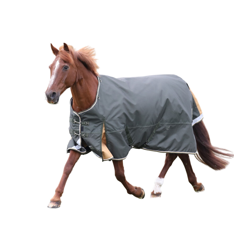 (8' 7", Green) Highlander Plus Combo Horse Turnout Rug