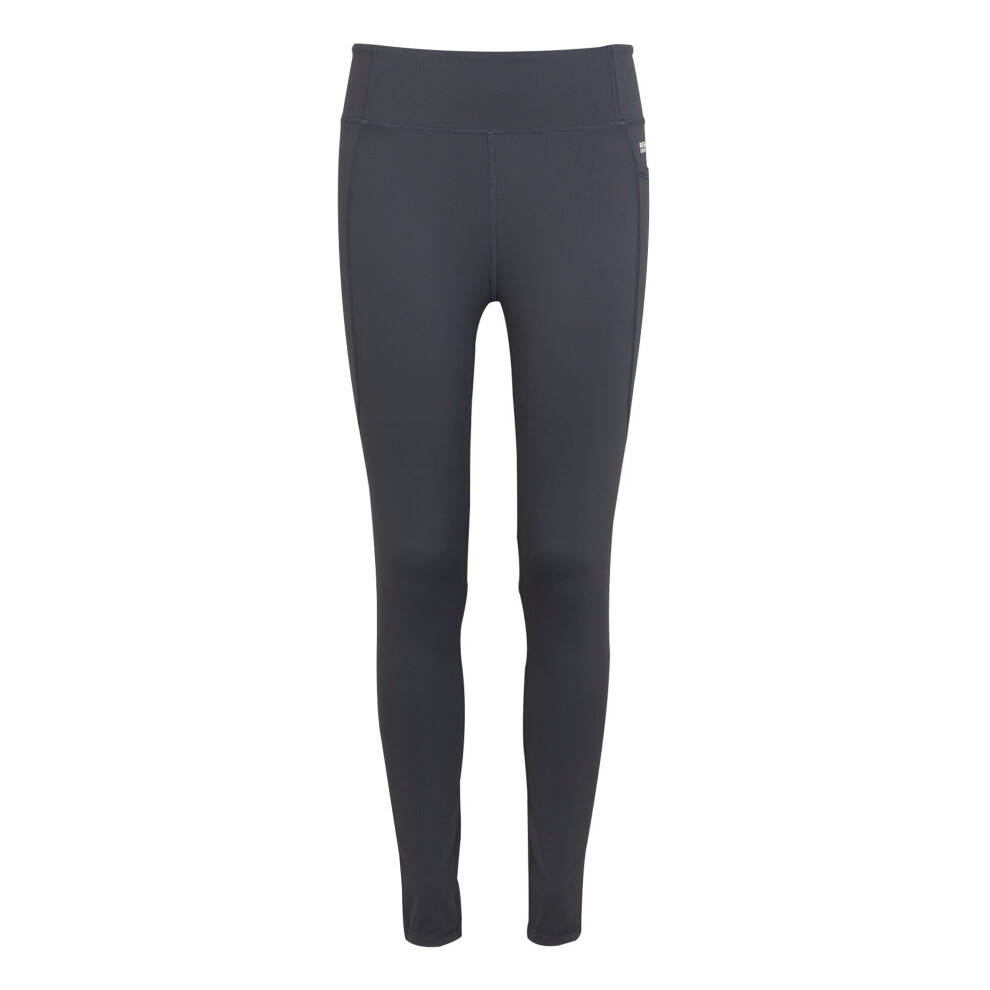 (10 UK R, Seal Grey) Regatta Womens/Ladies Holeen Pro Compression Leggings