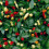 Chilli Ornamental. Mixed 1