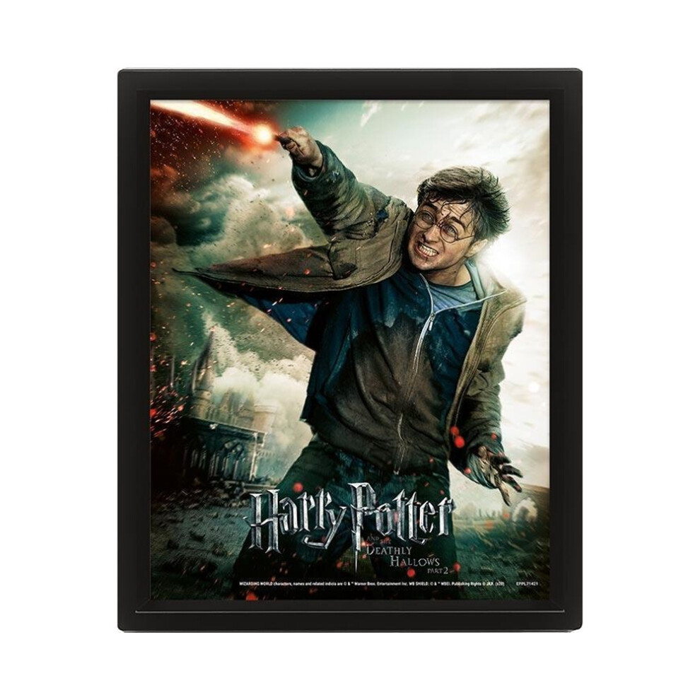 Harry Potter And The Deathly Hallows Expelliarmus Framed 3D Print